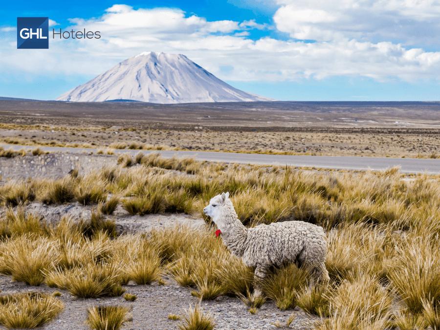 Ganadores del los World Travel Awards en Latinoamérica GHL Hoteis Ganadores del los World Travel Awards en Latinoamérica GHL Hoteis