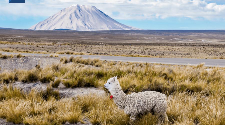 GHL Hoteles - - Ganadores del los World Travel Awards en Latinoamérica GHL Hoteles - - Ganadores del los World Travel Awards en Latinoamérica